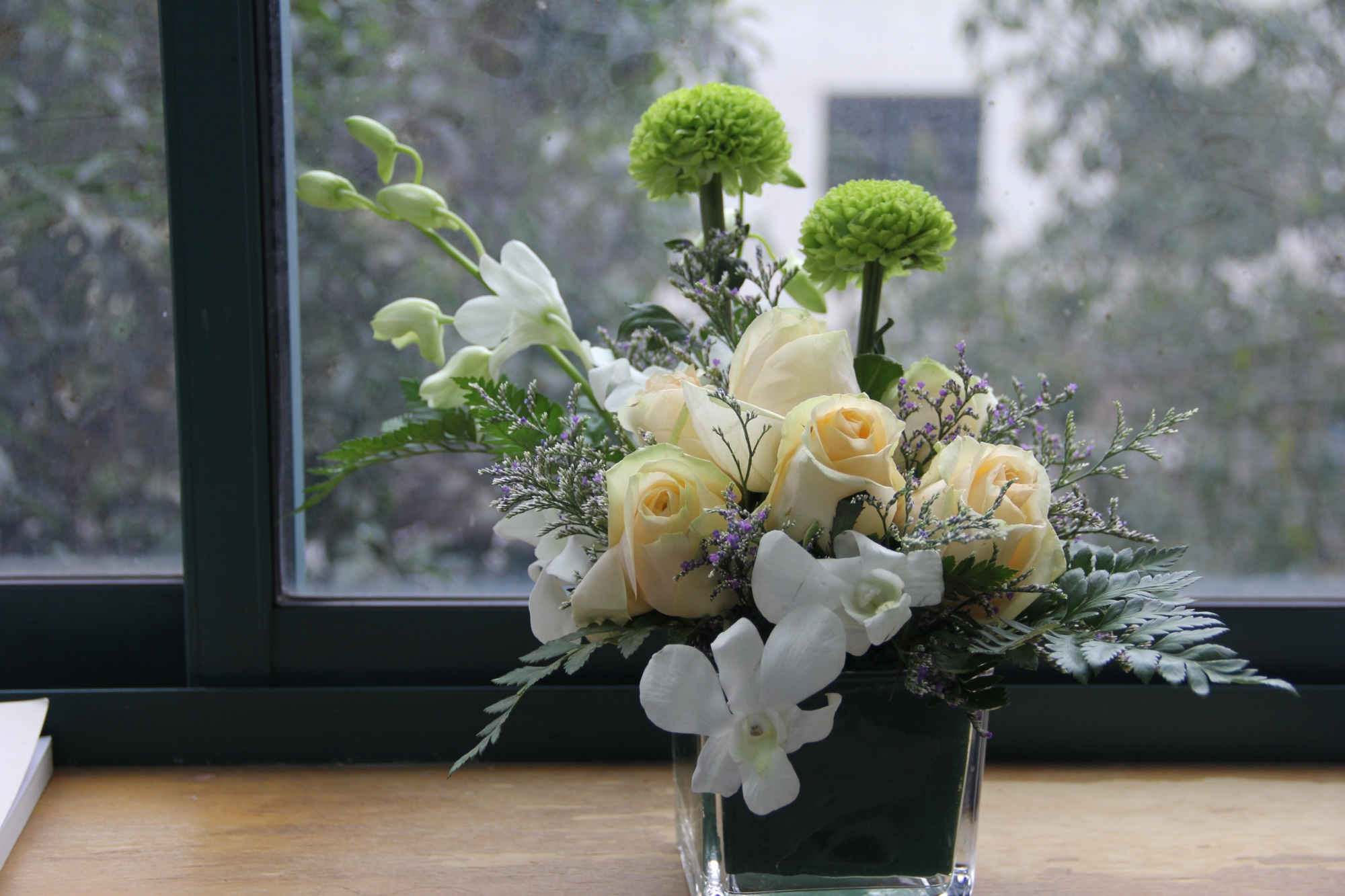 IMG_8002_副本.jpg IMG_8002_副本.jpg