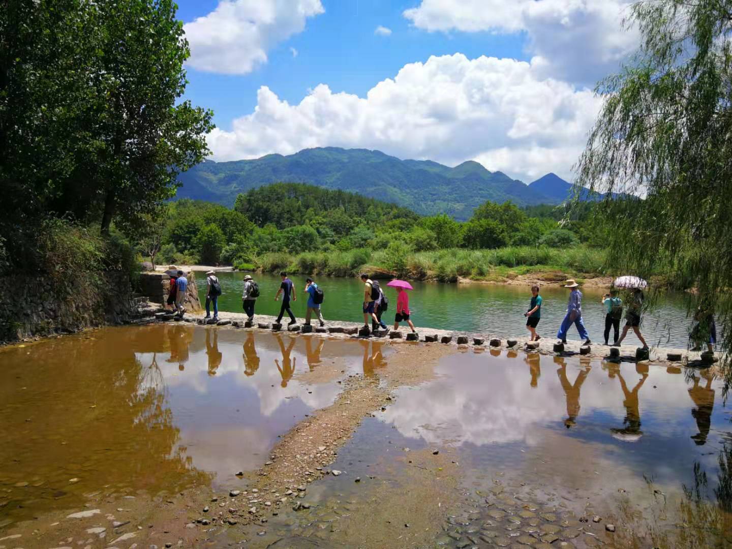 image_1565750174.589405.jpg image_1565750174.589405.jpg